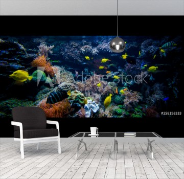 Bild på Underwater coral reef landscape  with colorful fish